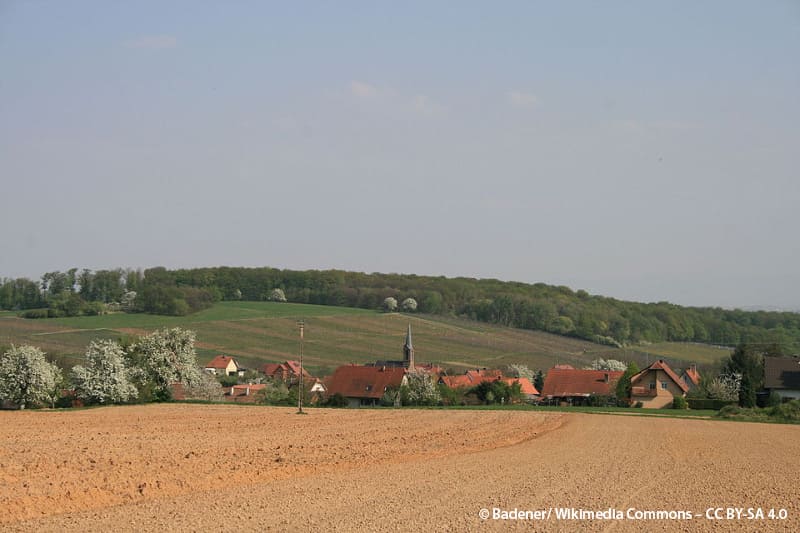 Cleebourg