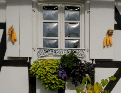 Maison d'hôtes à Hoffen en Alsace